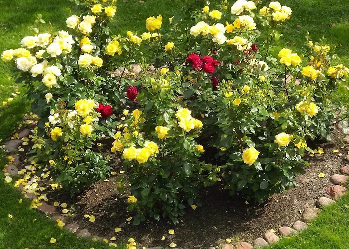 Apartamento Suur-sadama