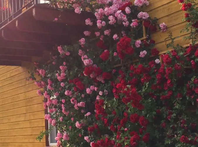 Suur-sadama Apartamento Kuressaare